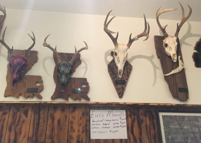 Euro Mounts